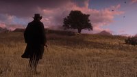 Red Dead Redemption 2: Map-Gerüchte - Größe der Karte und Spielwelt