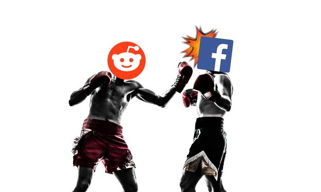 Beliebter als Facebook: Der neue Star im Internet heißt Reddit