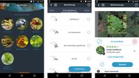 Naturblick-App: Tiere und Pflanzen bestimmen auf Android & iOS