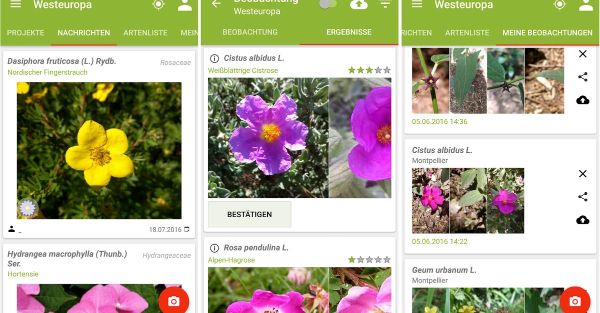 Beste app für pflanzenbestimmung kostenlos
