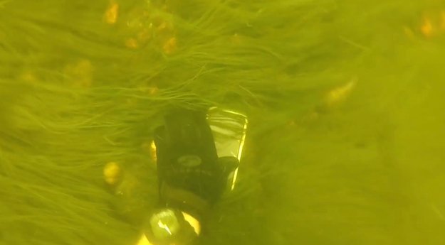 iPhone X nach 2 Wochen im Fluss gefunden: So wasserdicht ist das Apple-Smartphone wirklich