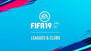 FIFA 19: Lizenzen – Mannschaften, Ligen und Teams