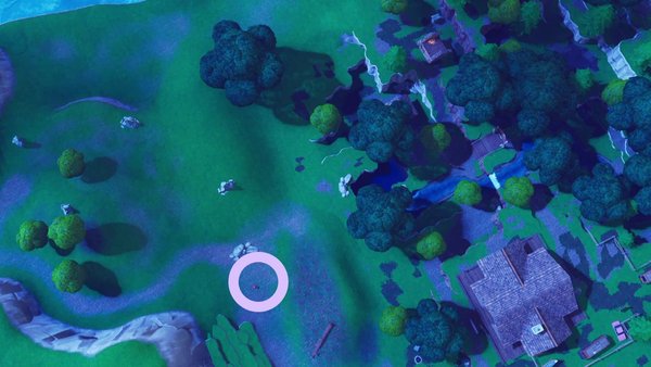 taube in lonely lodge alle tontauben in fortnite - alle tontauben in fortnite