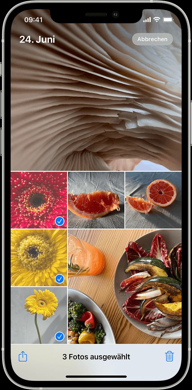 So löscht ihr eure Bilder. Bildquelle: Apple)