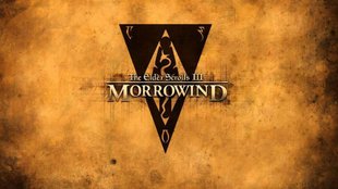 Morrowind: Darum wird es kein Remaster des Rollenspiels geben