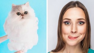 34 Instagram-Bilder von Katzen, bei denen dir das Wasser im Mund zusammenläuft