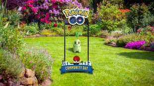 Pokémon Go: Alle Details zum Endivie Community Day