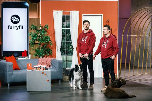Furryfit aus „Die Höhle der Löwen“ kaufen: Gesundheits-Tracker für den Hund