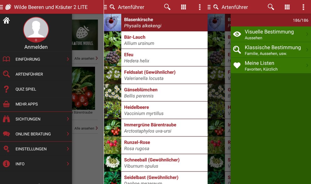 Kräuter bestimmen: Die besten Apps für Android & iOS