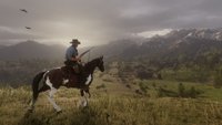 Red Dead Redemption 2: Temperatur hat Auswirkung auf die Genitalien deines Pferdes