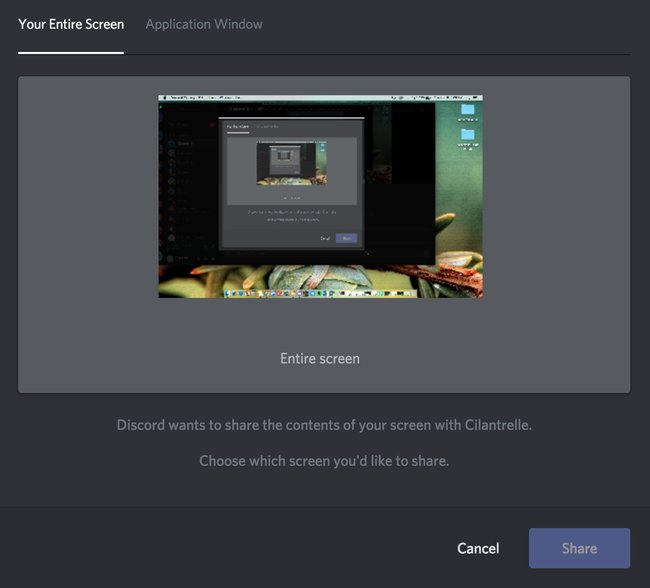 Wählt oben den ganzen Bildschirm oder nur ein bestimmtes Fenster aus. Bildquelle: support.discordapp.com