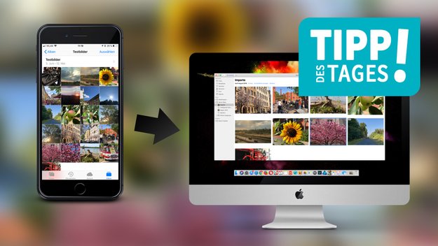 iPhone-Fotos ohne Konvertierung schnell auf den Mac übertragen, so gehts