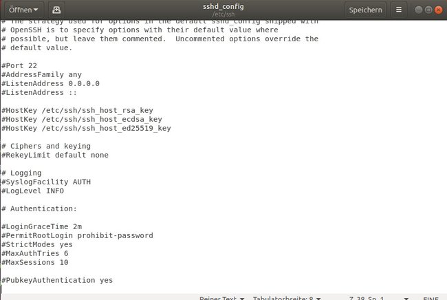 Gebt hier eure SSH-Konfiguration ein. (Bildquelle: GIGA)