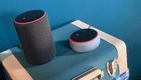 Amazon Echo, Plus, Dot, Spot oder Show? Dieser smarte Lautsprecher passt zu dir (Kaufberatung)