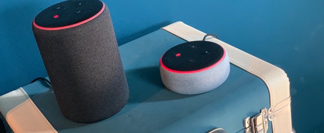 Amazon Echo, Plus, Dot, Spot oder Show? Dieser smarte Lautsprecher passt zu dir (Kaufberatung)