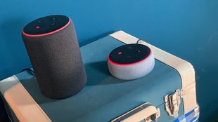 Amazon Echo, Plus, Dot, Spot oder Show? Dieser smarte Lautsprecher passt zu dir (Kaufberatung)