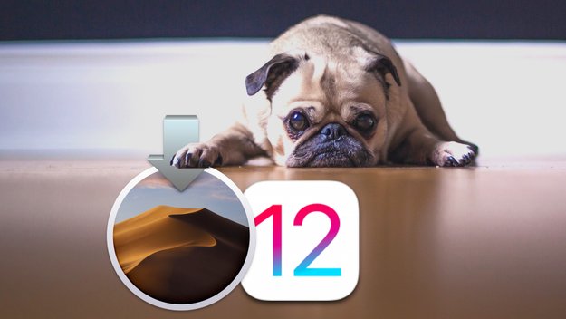 Versäumte iPhone- und Mac-Aktualisierungen: Gibt’s den „Update-Muffel” noch?