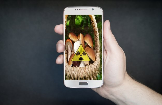 Geigerzähler-App – Strahlung messen ohne Zusatzgerät