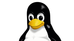 Linux: Datei & Verzeichnis löschen (delete file) – so geht's