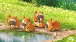 Pokémon GO: Bidiza wird als Gott gefeiert