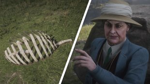 Red Dead Redemption 2: Saurierknochen - alle Fundorte für "Die Glaubensprüfung"