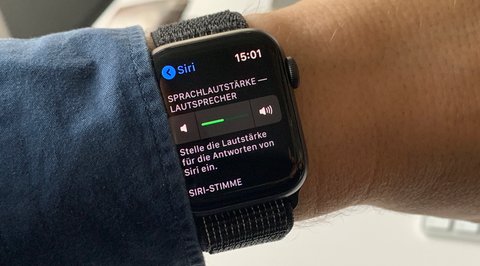 vibration bei apple watch einstellen So ändern Sie die Vibrationsmuster für Anrufe und Benachrichtigungen auf  der Apple Watch Series 11 main image 0