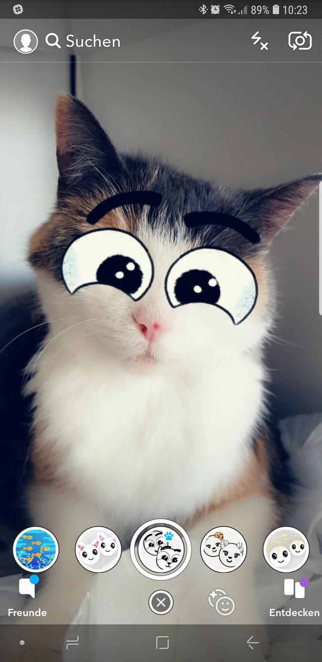 snapcat