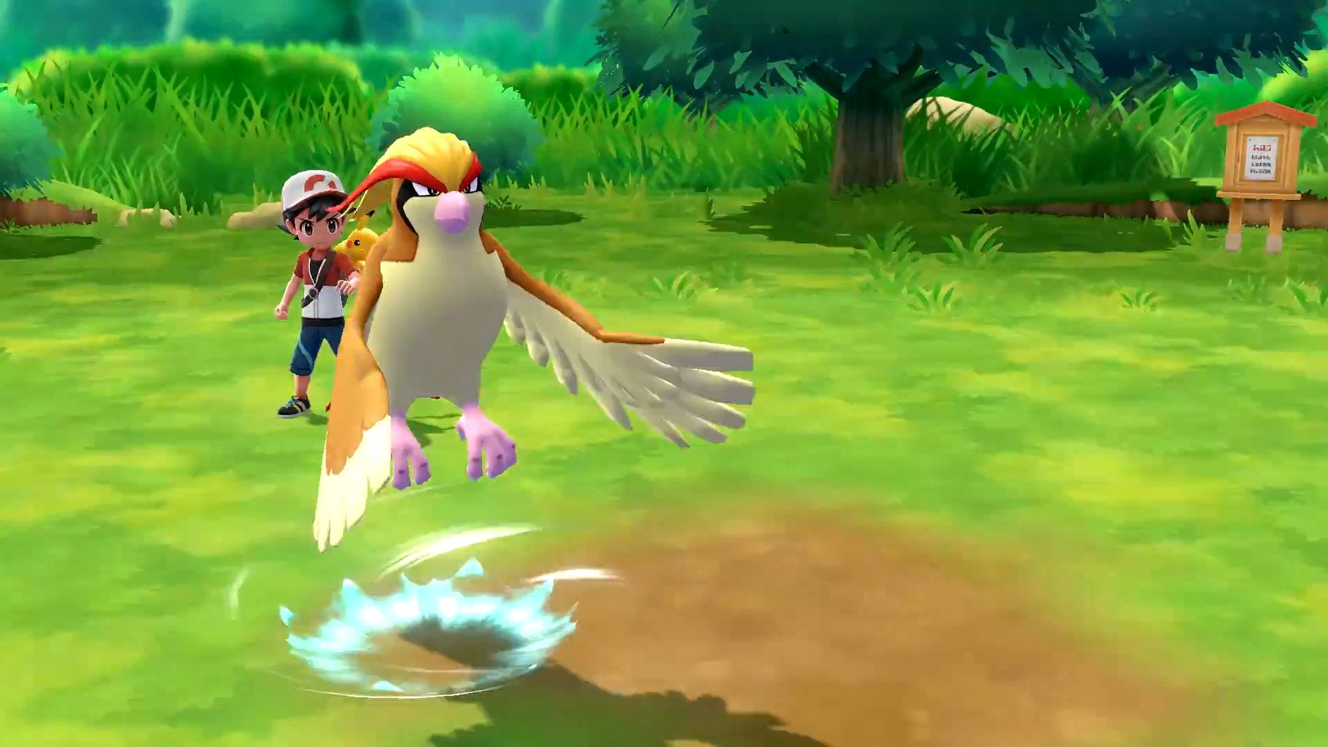 Pokemon Go Wo Sind Die Taubsis Spieler Beschweren Sich Keine