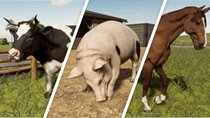 Landwirtschafts-Simulator 19: Tiere kaufen, füttern und züchten - Infos zu allen Arten