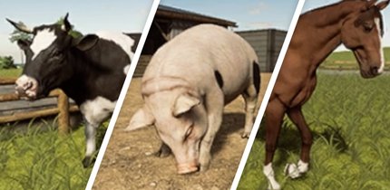 Landwirtschafts-Simulator 19: Tiere kaufen, füttern und züchten - Infos zu allen Arten