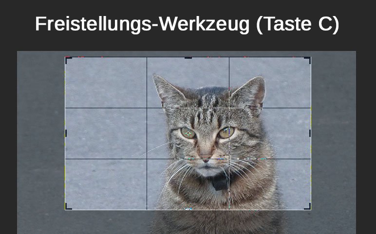 Photoshop Bild Zuschneiden Die Besten 3 Methoden