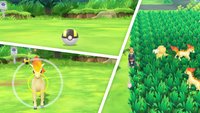 Pokémon - Let's Go: Pokémon fangen - Tipps und Tricks zur Fangmechanik