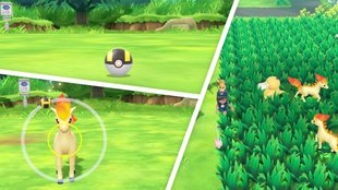 Pokémon - Let's Go: Pokémon fangen - Tipps und Tricks zur Fangmechanik