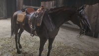 Red Dead Redemption 2: Die besten Pferde kostenlos bekommen - so geht's