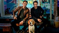 Dogs of Berlin (Serie)