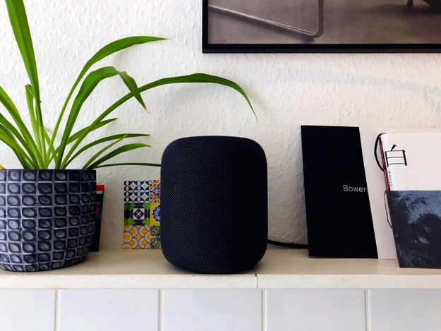 HomePod, Amazon Echo und Google Home im IQ-Test: Siri wird immer intelligenter