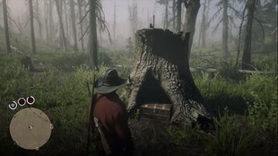 Red Dead Online: Blackbone Forest Schatz - alle 4 möglichen Fundorte