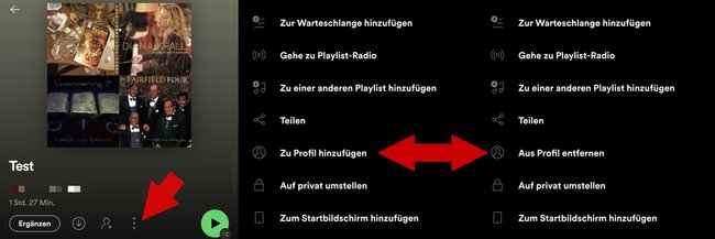 Spotify Playlist veroeffentlichen Mobile App 2022