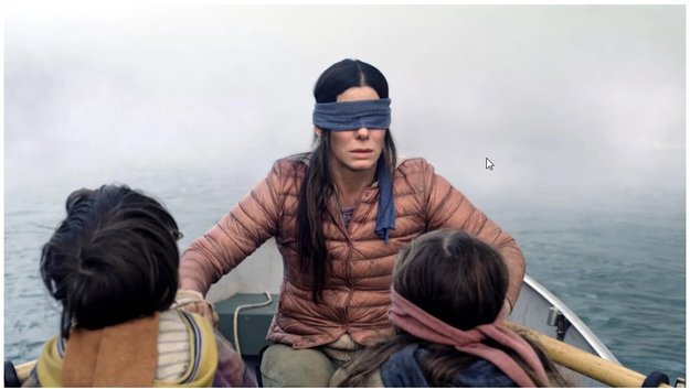 Bird Box Challenge: Was steckt hinter dem bekloppten Hype?