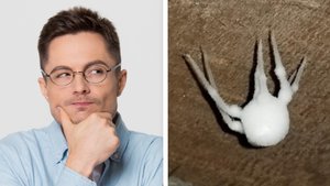 "Meine Freundin fand es im Essen": 47 Fälle, in denen das Internet ein Mysterium aufklärte