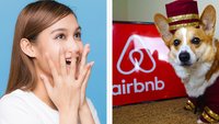 27 Male, in denen Airbnbs eine flauschige Überraschung bereithielten