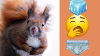 Für WhatsApp und Co: Apples neue iPhone-Emojis in der Vorschau