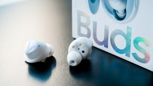 Samsung Galaxy Buds: Firmware-Update durchführen – so geht’s