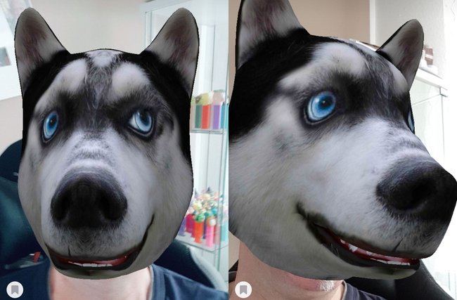 Screenshot eines TikTok-Effekts: Das Gesicht eines Hundes über dem Kopf eines Menschen