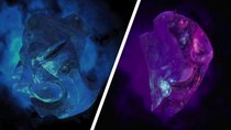 Devil May Cry 5: Alle blauen und violetten Kugeln - Fundorte im Video