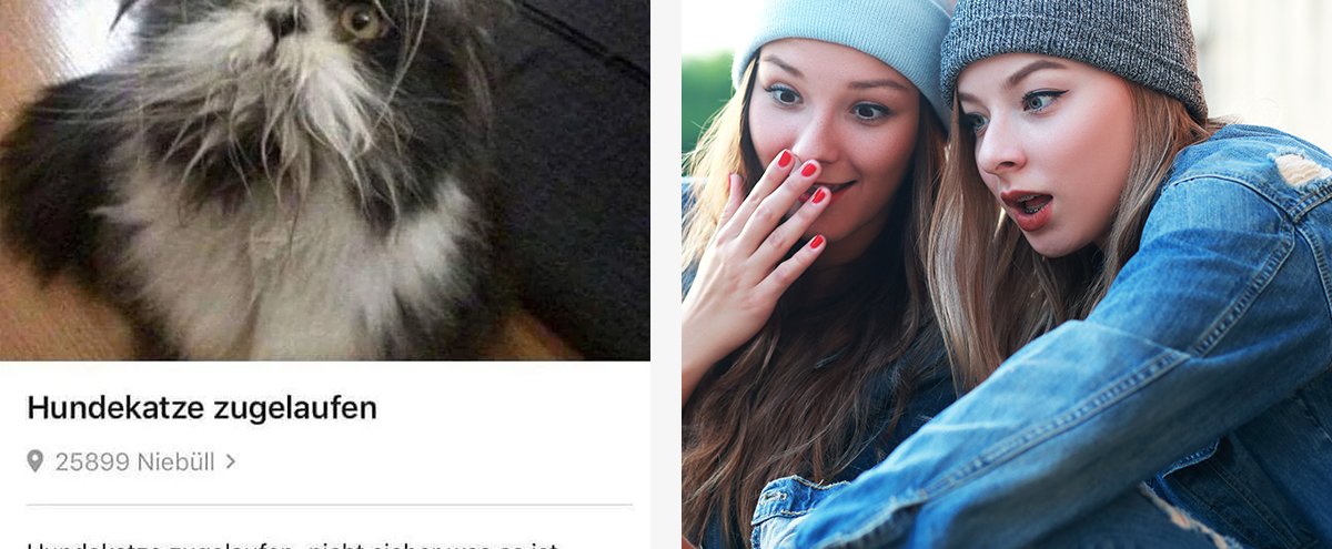 Wie Kann Ich Follower Bei Ebay Kleinanzeigen Sehen eBay-Kleinanzeigen: Follower sehen – geht das?