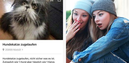 eBay-Kleinanzeigen-Fails: Diese 26 Anzeigen sind niemals nicht lustig