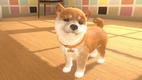 Nintendogs bekommt einen geistigen Nachfolger für Nintendo Switch