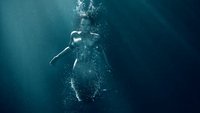 Mysterious Mermaids Staffel 2: Wie sieht es mit neuen Folgen aus?