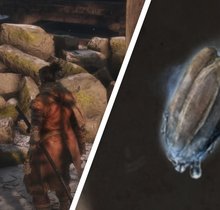 Sekiro: Alle Kürbissamen - Fundorte für mehr Kürbisflaschen